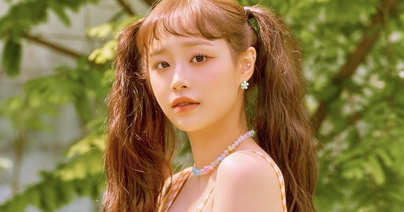 BlockBerryCreative Revealed To Have Submitted Petition To Suspend  LOONA Chuu’s Activities