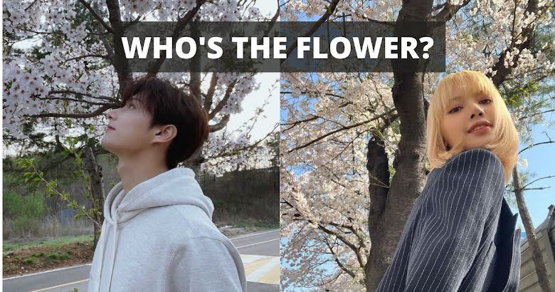These 12 Idols Make It Hard To Know Who’s Lovelier, The Cherry Blossoms Or The Idols?