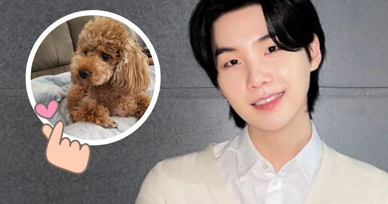 BTS’s Suga Reunites With His Dog Holly And Proves He’s The Best Dog Dad