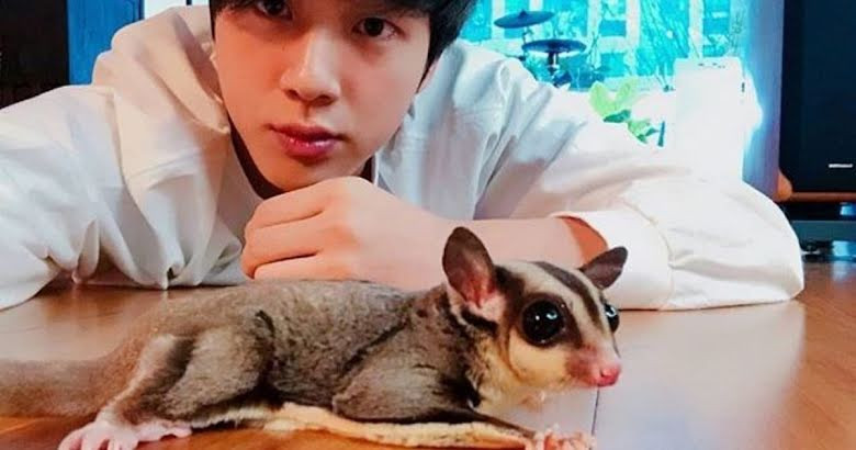 These 7 K-Pop Idols Have The Most Unique Pets In The Industry