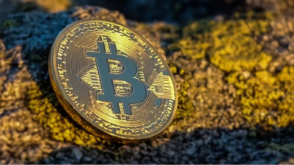 Bitcoin Holds Tight Near $20,500 Mark While Altcoins See Profit Booking Across the Boardv