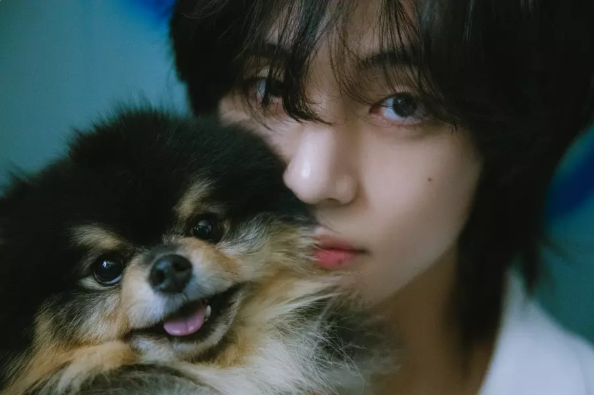 BTS’s V Sweeps iTunes Charts All Over The World With “Layover” And “Slow Dancing”