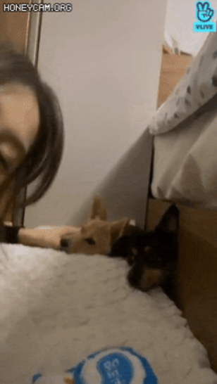 BLACKPINK Rosé Recent Adopts New Puppy and Immediately Make Him An Instagram Star