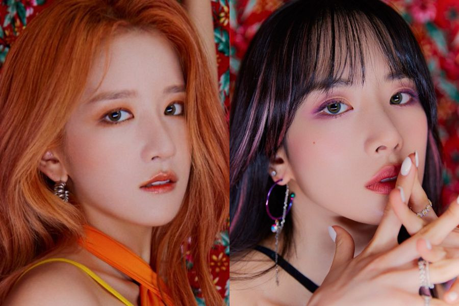 Starship Entertainment Shares WJSN’s Exy And SeolA Were Involved In Minor Car Accident